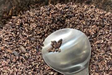 cacao nibs
