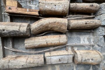 stingless bee hives
