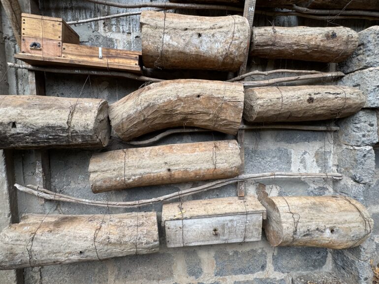 stingless bee hives